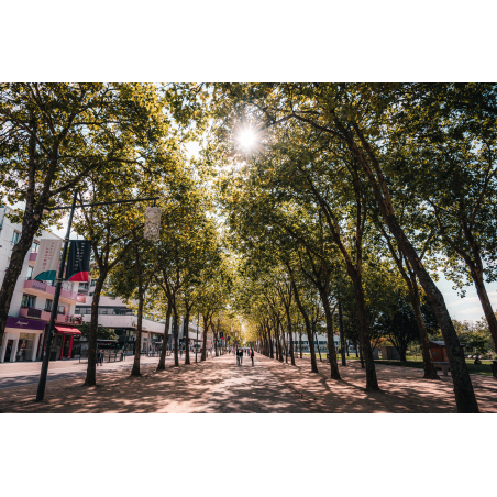 Balade dans le parc Jules Ferry, en centre-ville de Lorient (Morbihan) - ©Lezbroz - LBST